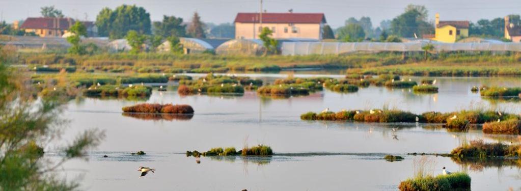 Maribeach Cavallino-Treporti Buitenkant foto
